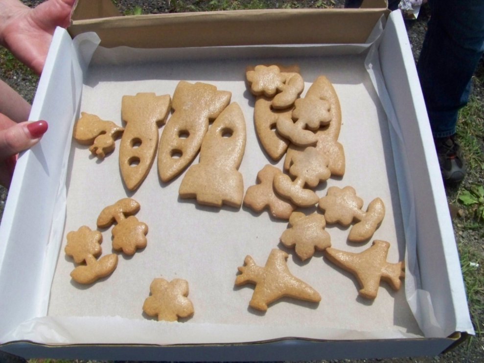 Raketacke pernicky pi Pavlikove